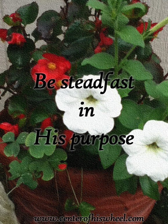 Stead Fast In His Purpose
