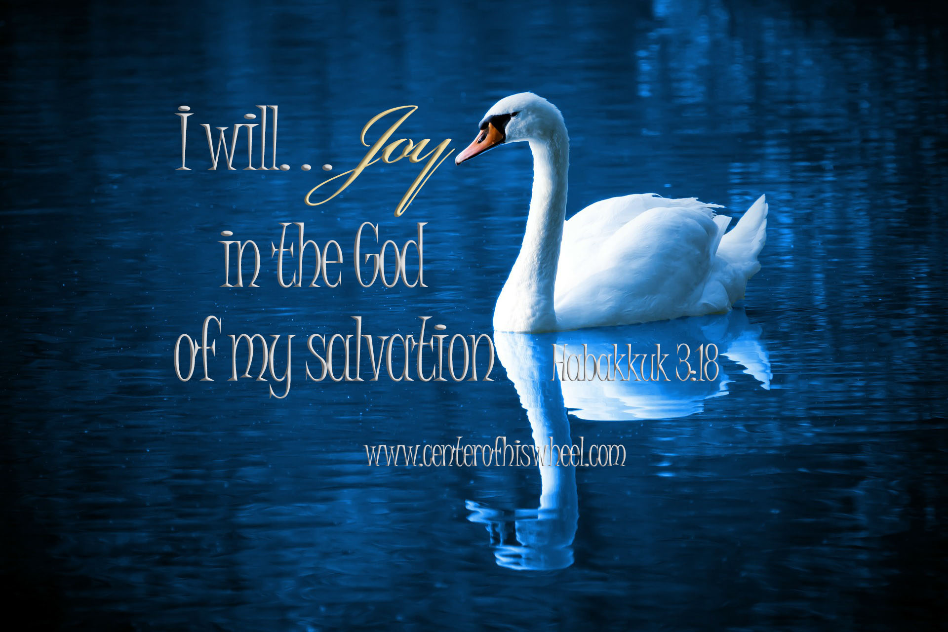 I will joy Swan