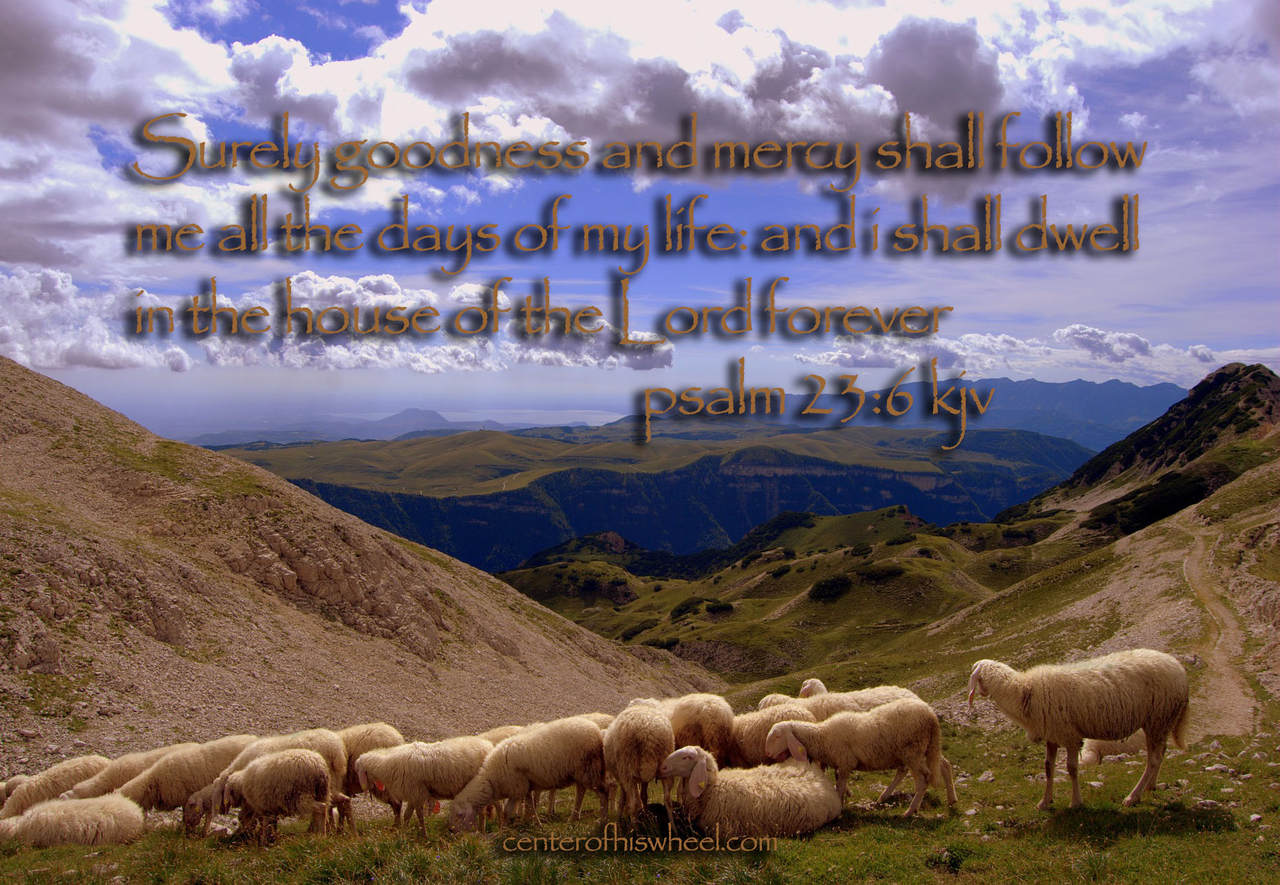 Psalm 23 flock
