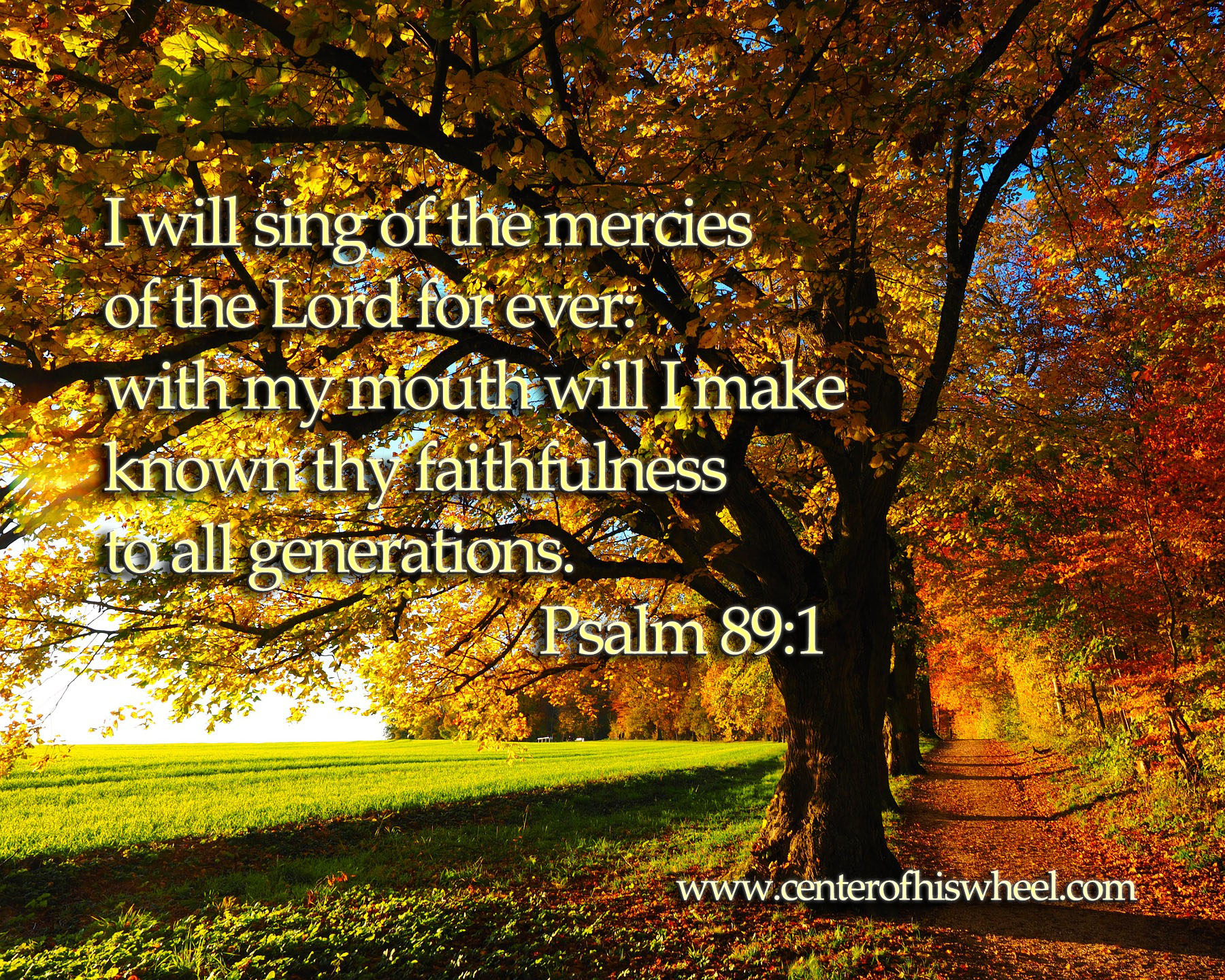 Faithfulness to all generation Center of His Wheel