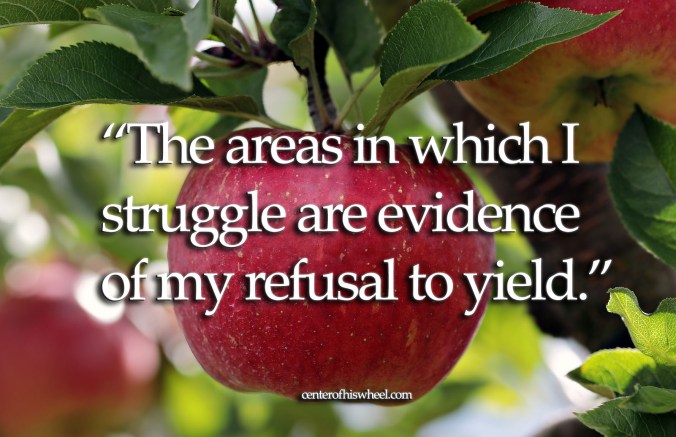 The areas in which I struggle Center of His Wheel blog