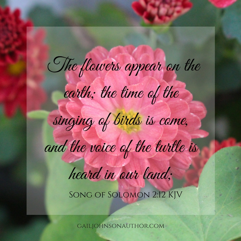 For, lo, the winter is past, the rain is over and gone; The flowers appear on the earth; the time of the singing of birds is come, and the voice of the turtle is heard in our land;.jpg