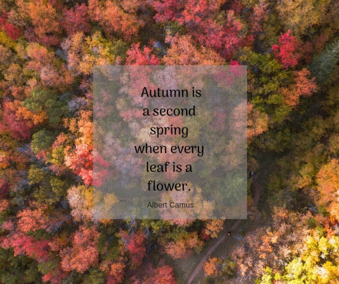 Autumn