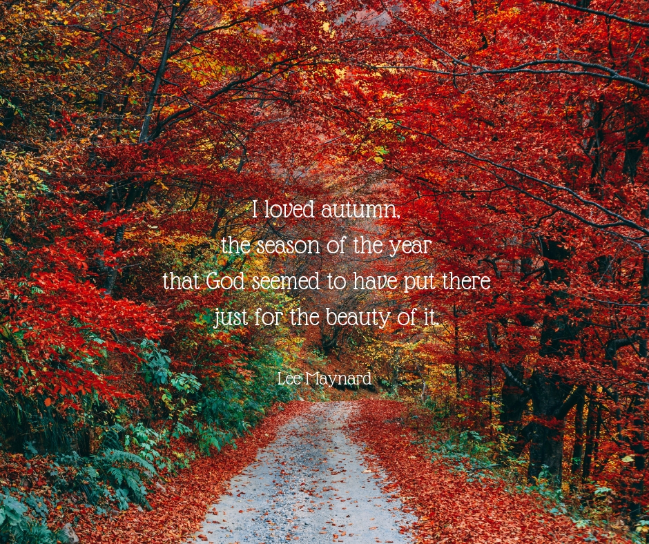 I loved autumn, the season of the year that God seemed to have put there just for the beauty of it