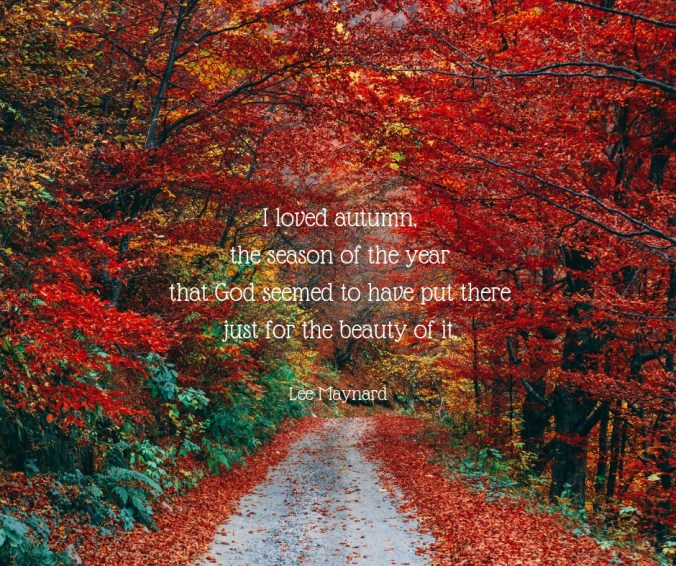 I loved autumn, the season of the year that God seemed to have put there just for the beauty of it