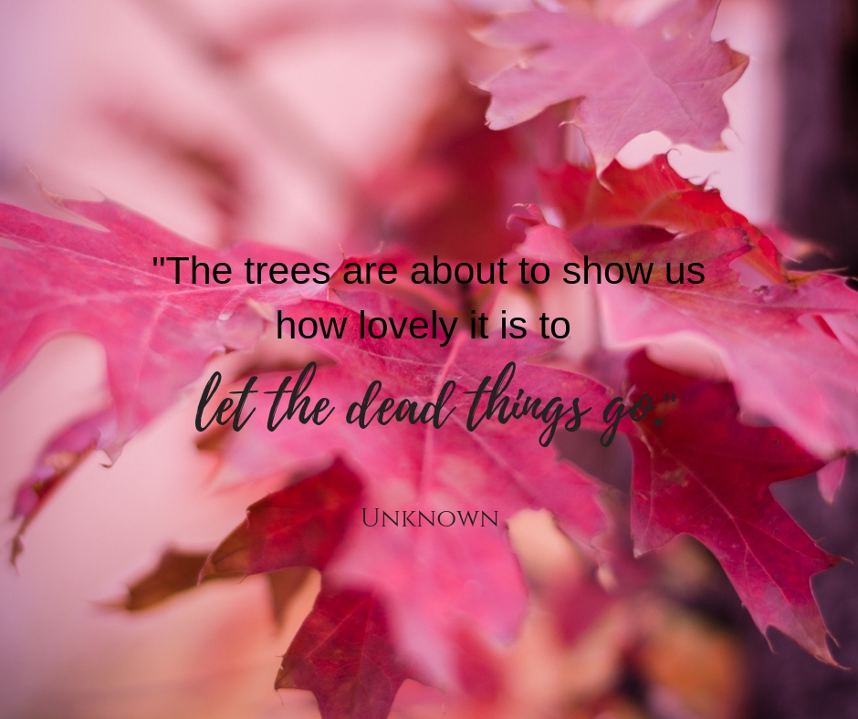 The trees are about to show